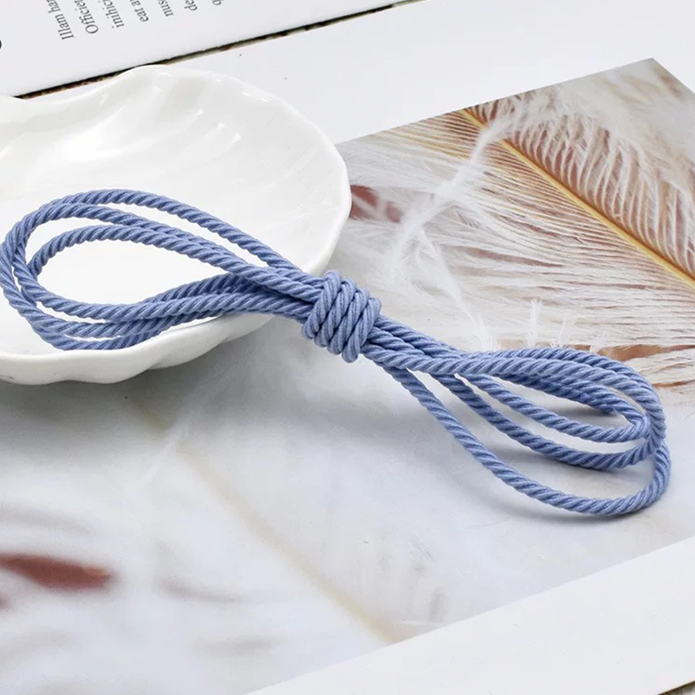 5M/Lot 2.5mm Elastic Rope Brai - Sewing Necessities ulasan dan harga